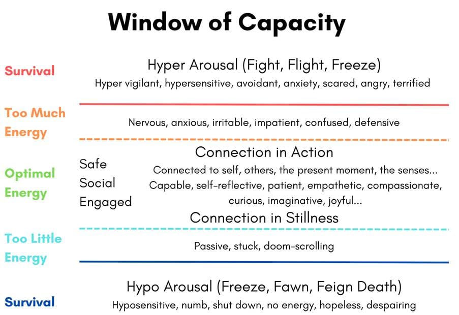 A chart showing the window of capacity: at to top is hyper arousal (fight, flight and freeze), in the middle is connection, and at the bottom is hypoarousal (freeze, fawn, feign death). In the middle of these are hybrid states of too much energy (towards the top) and too little energy (towards the bottom).