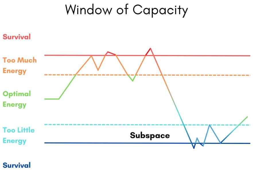 A diagram of a window of capacity with a line showing the nervous system going into hybrid states between ventral vagal and parasympathetic, and ventral vagal and dorsal vagal.