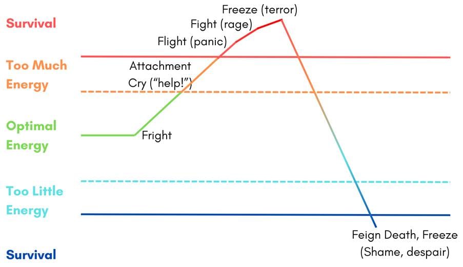 A diagram of a window of capacity