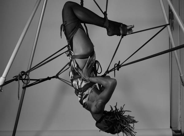 An image of someone suspended upside down from shibari ropes, holding their hips